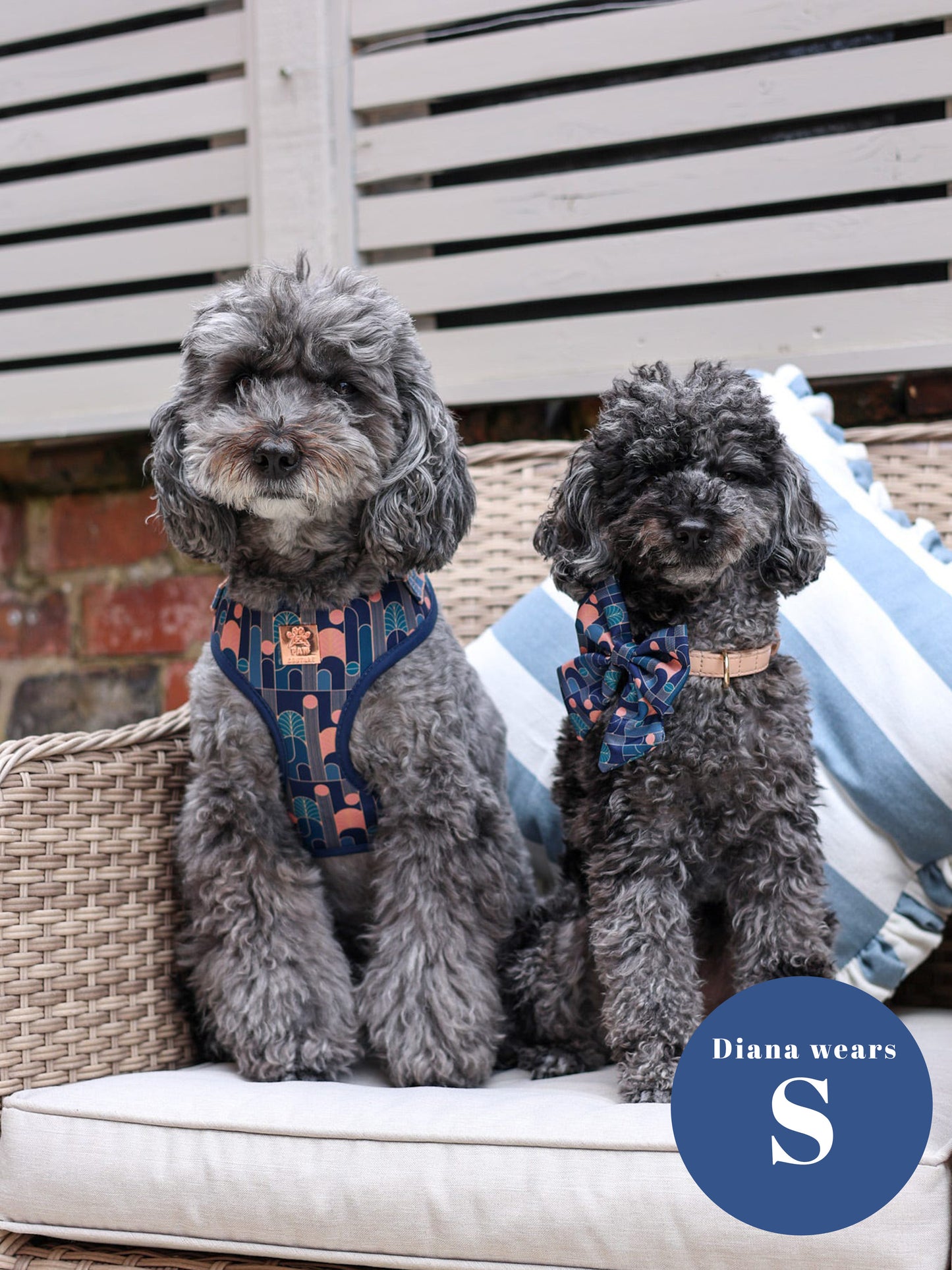 Empire Deluxe Five Piece Walkies Bundle - Save £20