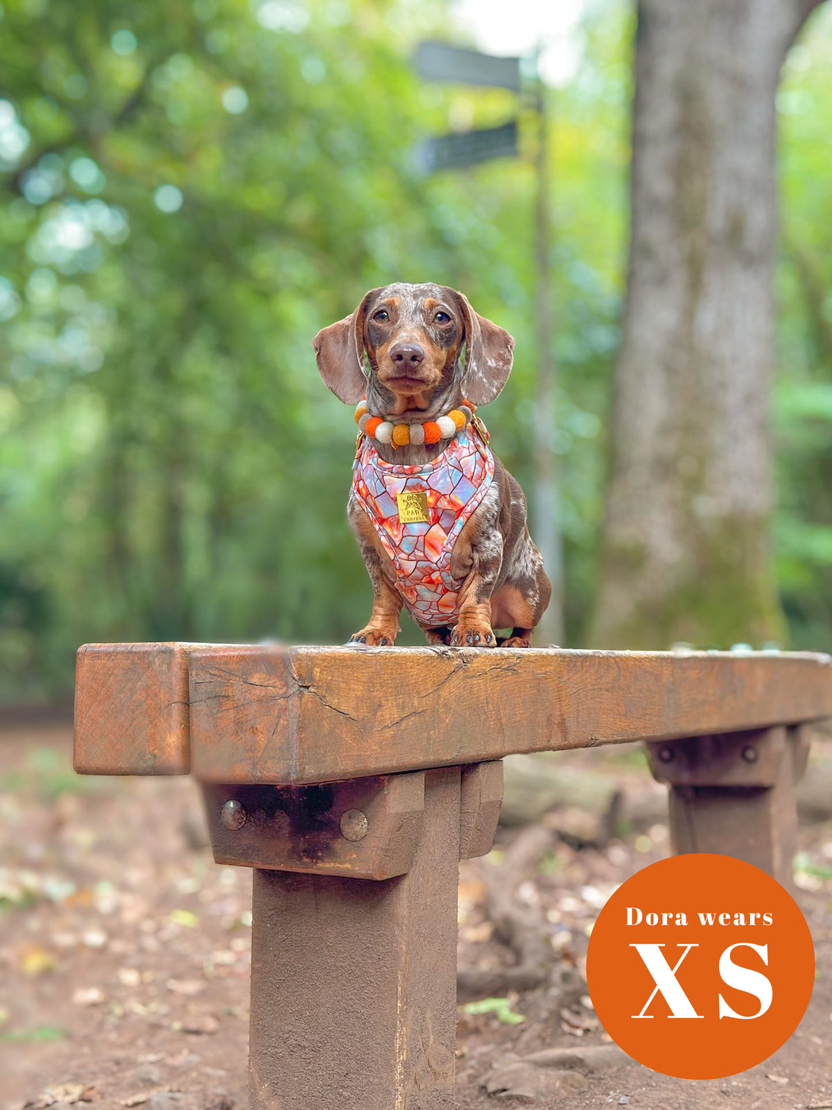 Amber & Opal Deluxe Five Piece Walkies Bundle - Save £20