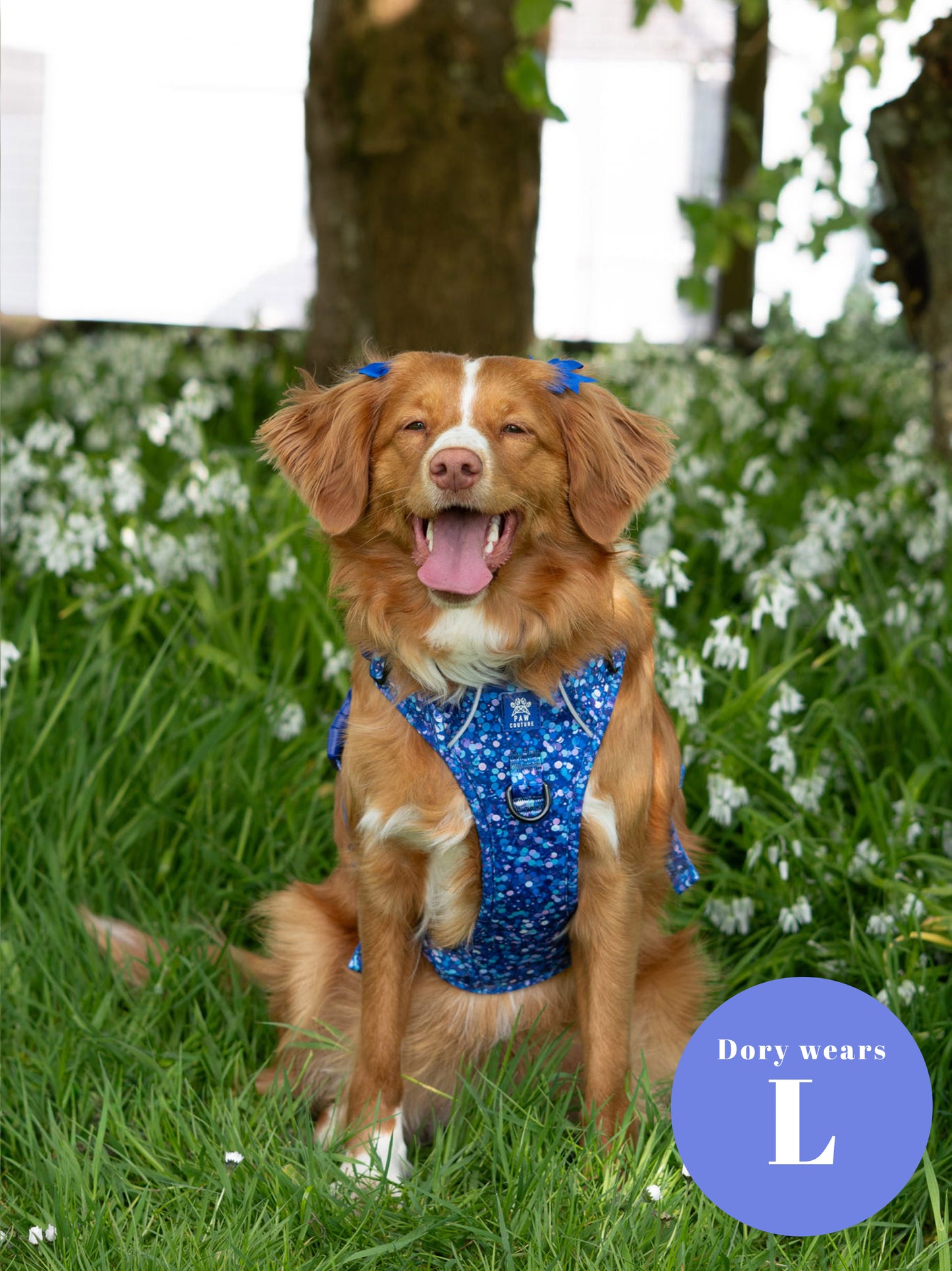 Cosmic Confetti Five Piece Walkies Bundle - Save £20