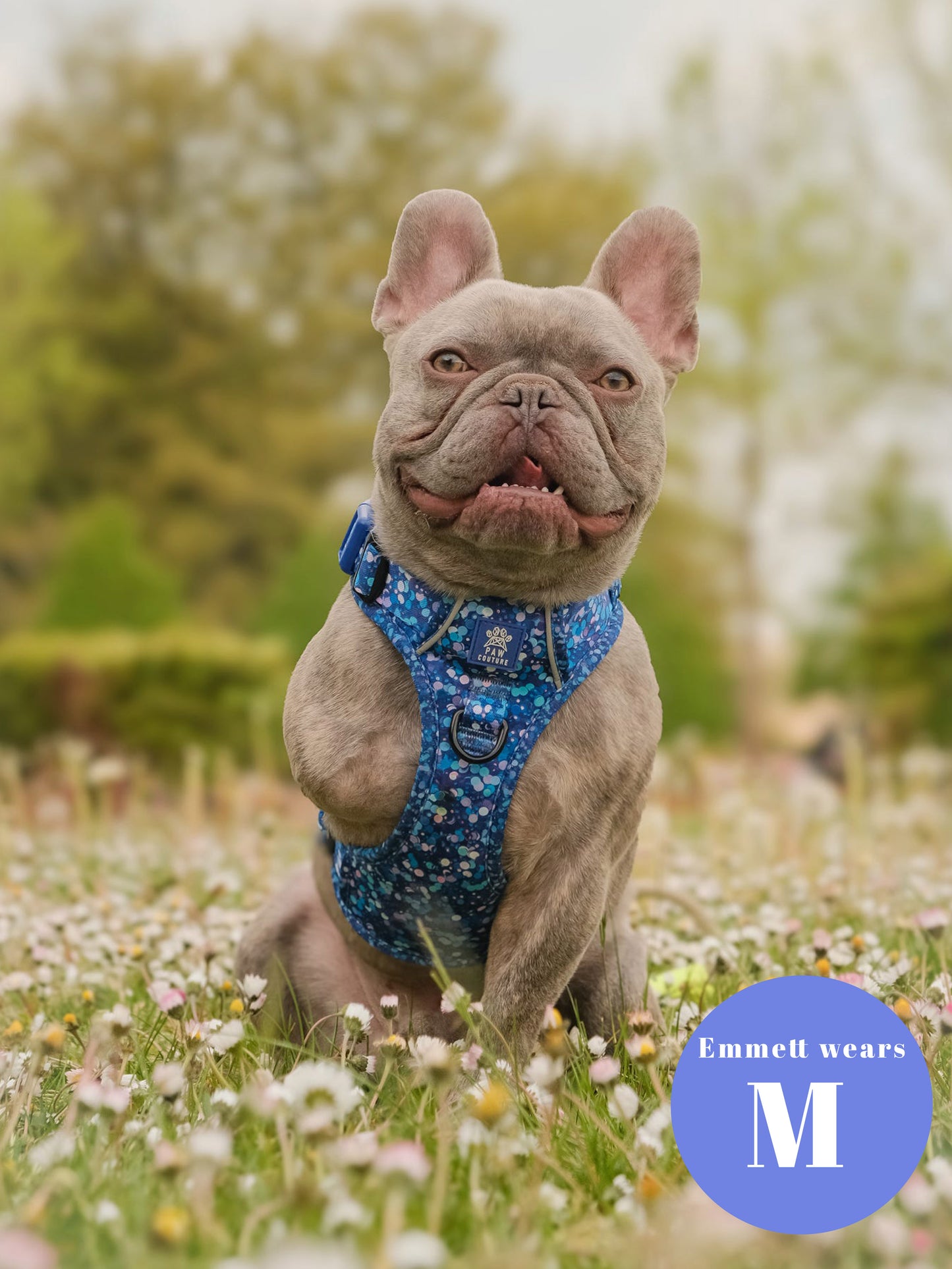 Cosmic Confetti Five Piece Walkies Bundle - Save £20