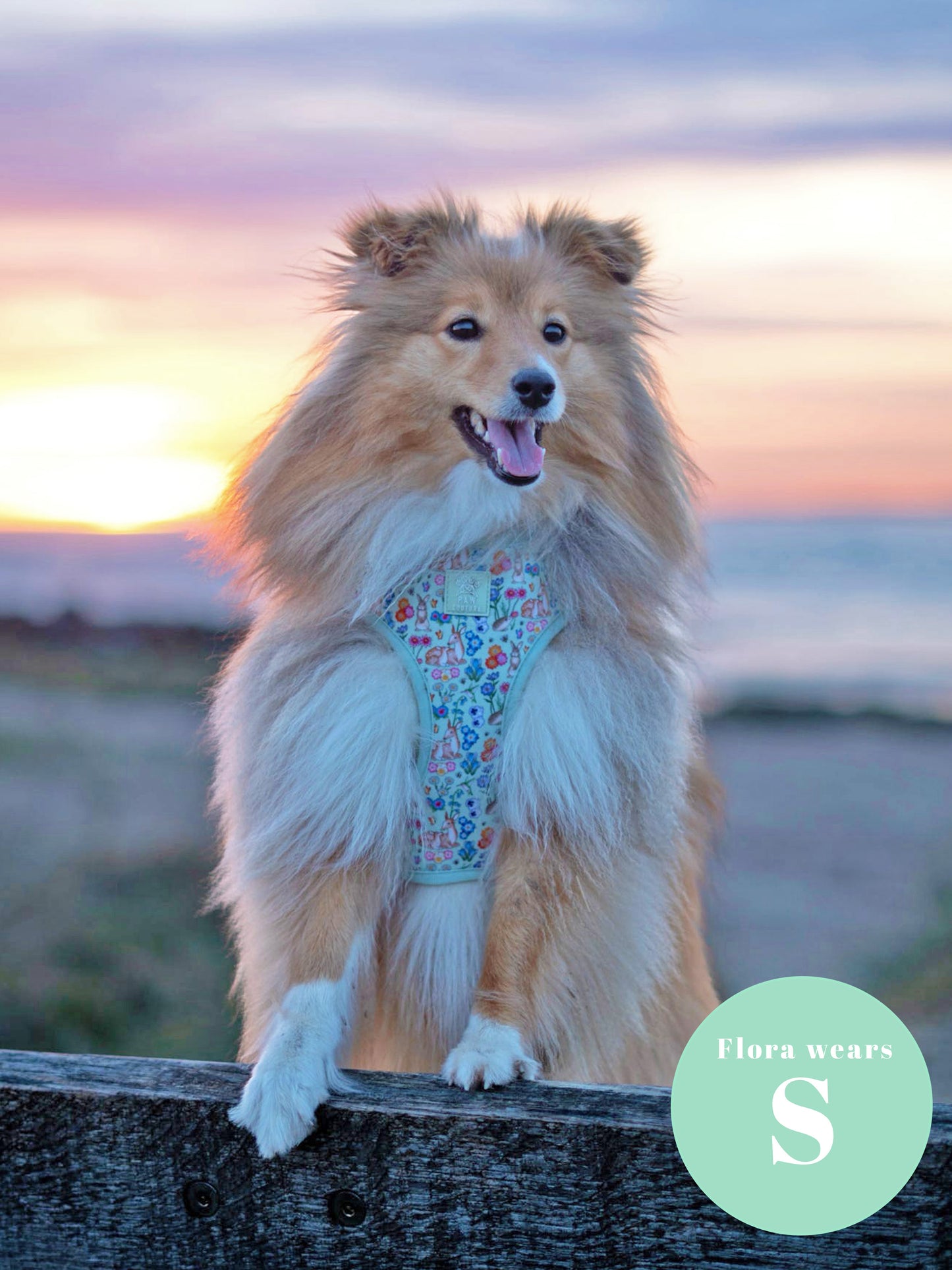 Flora & Fauna Adjustable Harness