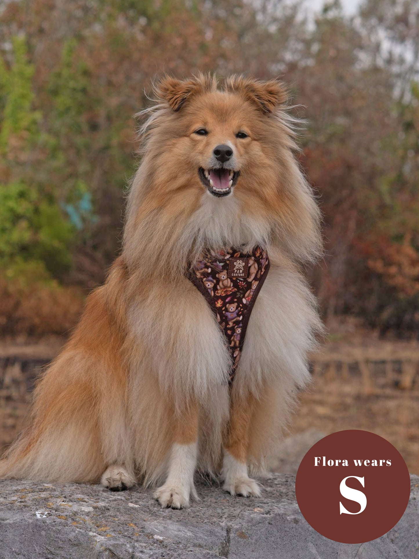 Forest Friends Adjustable Harness & Lead Bundle