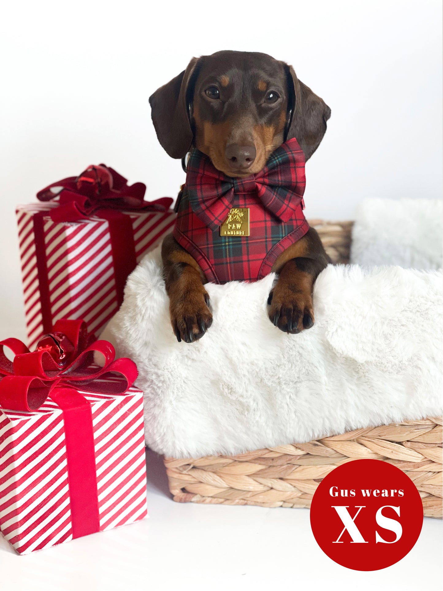 *DESPATCHES W/C 4TH DEC* Tartan Deluxe Adjustable Harness *LIMITED AVAILABILITY