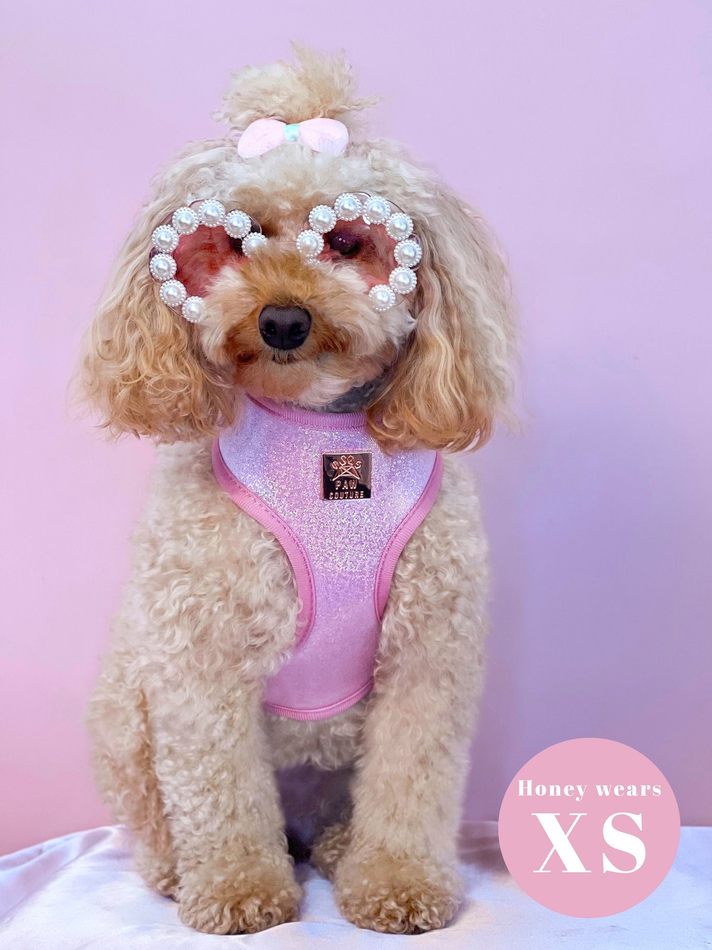 Pink Champagne Party Deluxe Adjustable Harness