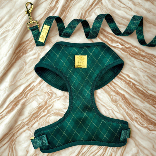 Argyle Deluxe Adjustable Harness & Lead Bundle