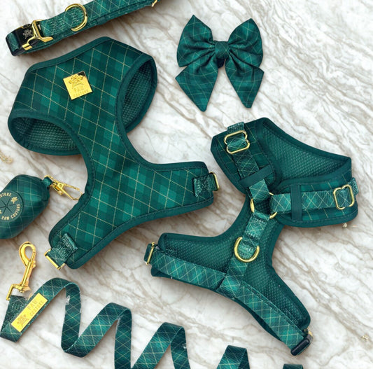 Argyle Deluxe Five Piece Walkies Bundle - Save £20