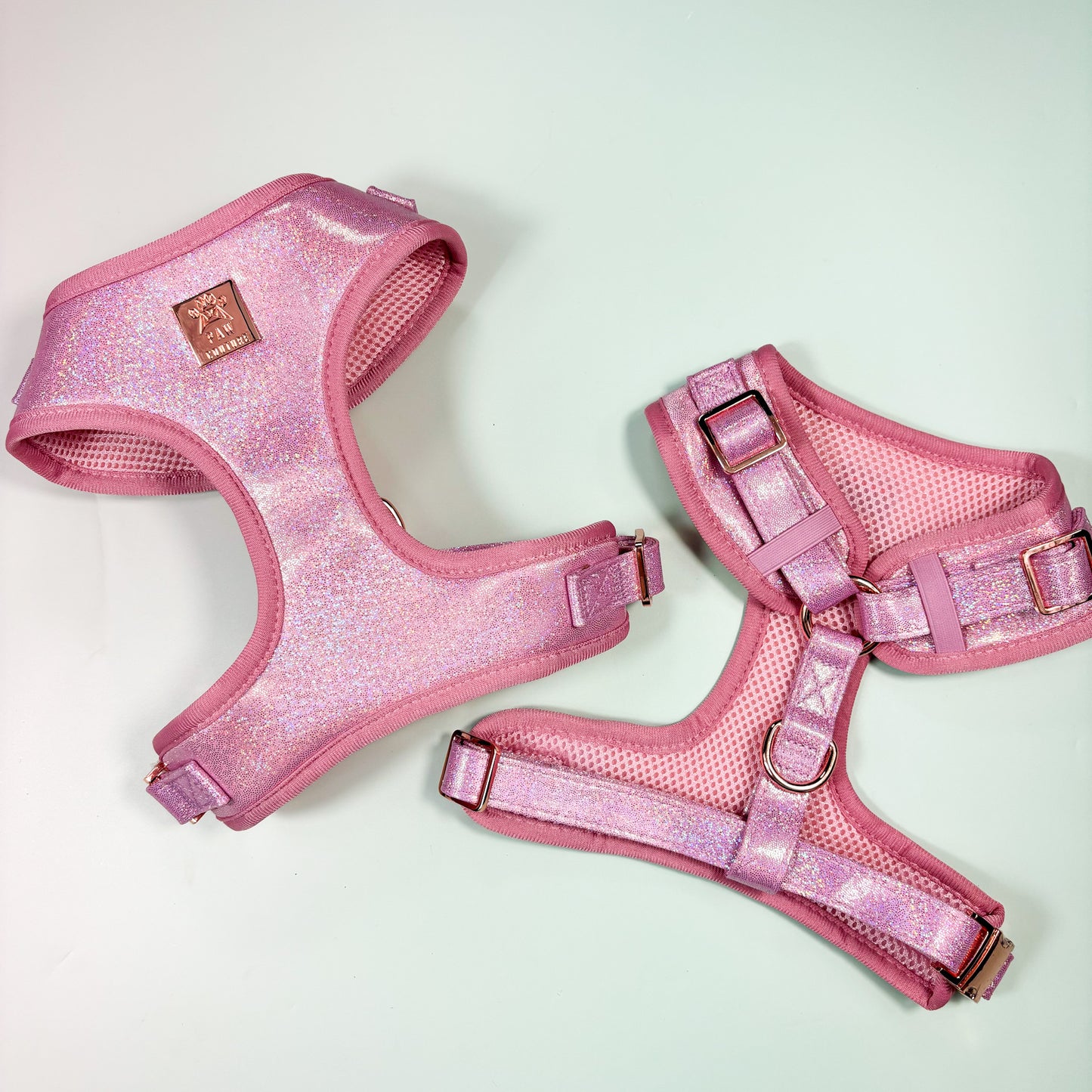 Pink Champagne Party Deluxe Adjustable Harness & Lead Bundle