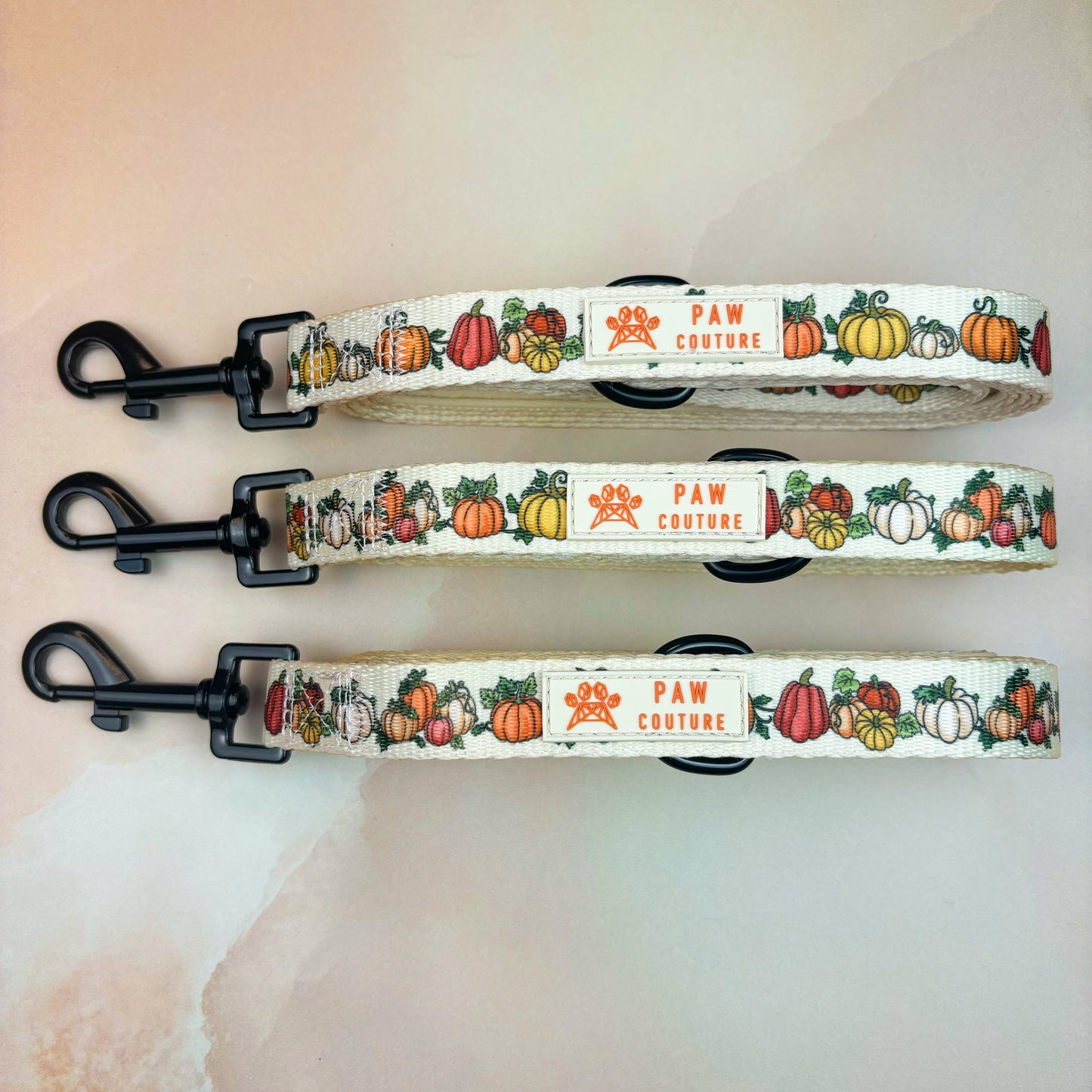 Country Pumpkins - Collar & Lead Bundle