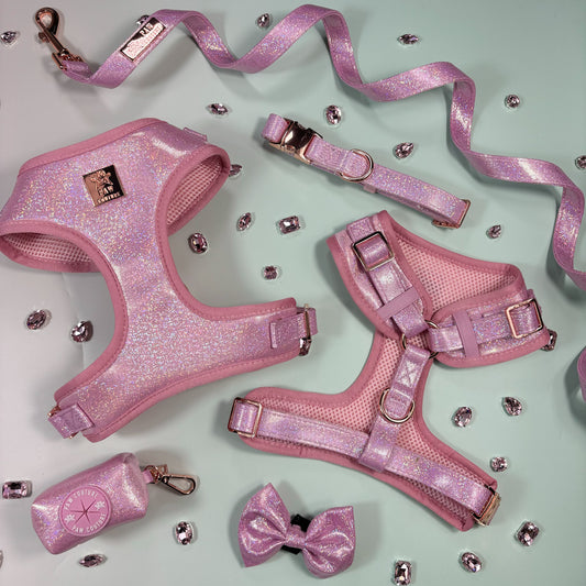 Pink Champagne Party Deluxe Five Piece Walkies Bundle - Save £20