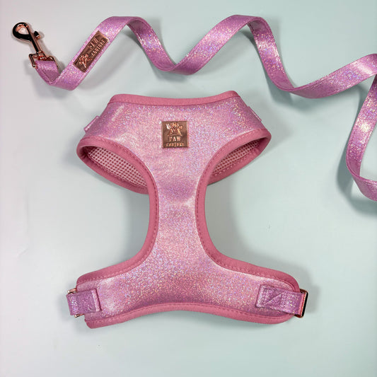 Pink Champagne Party Deluxe Adjustable Harness & Lead Bundle