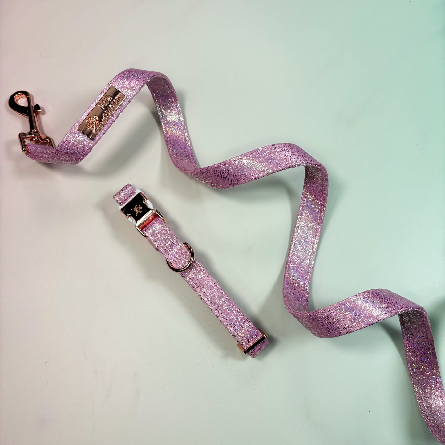 Pink Champagne Party Deluxe  - Collar & Lead Bundle