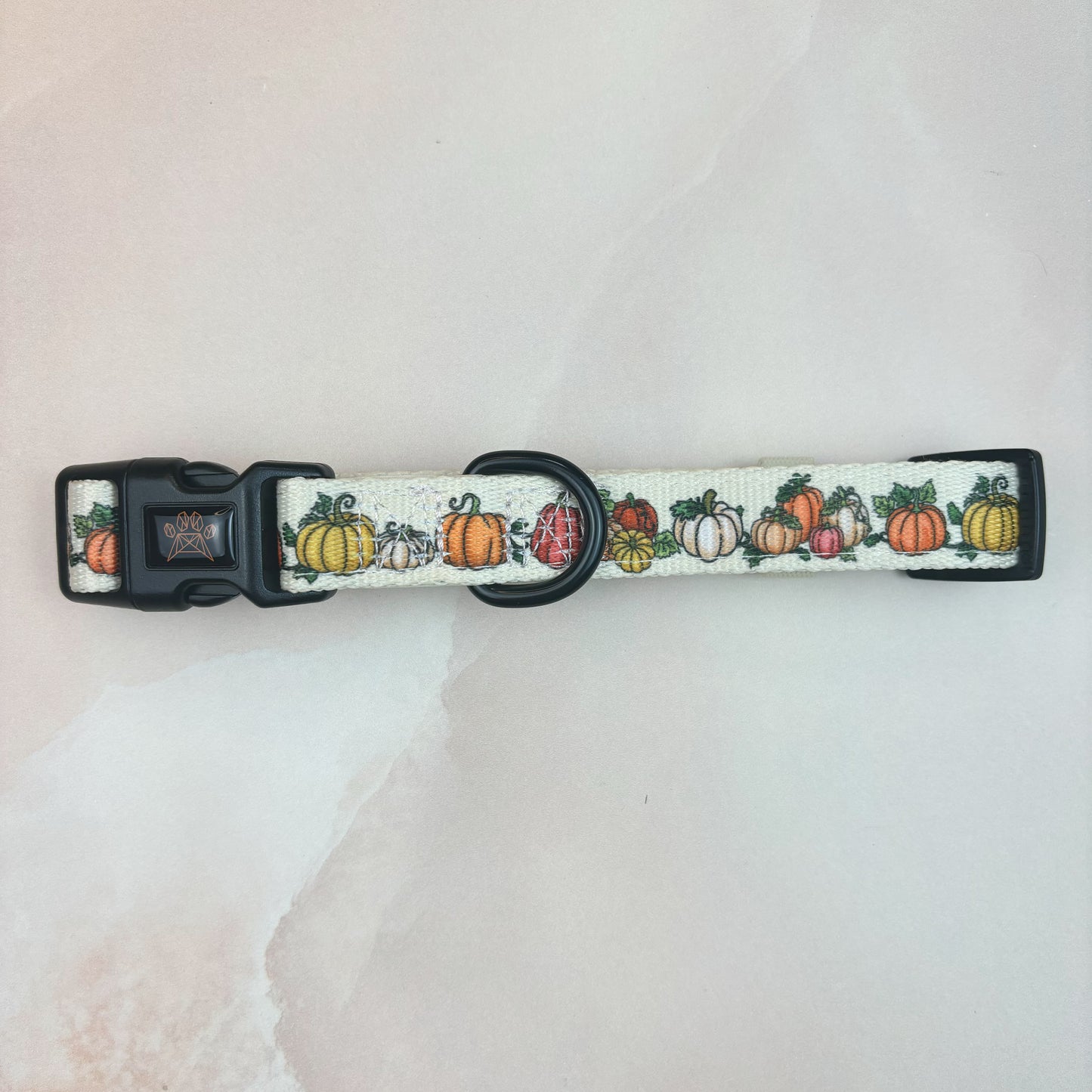 Country Pumpkins Collar