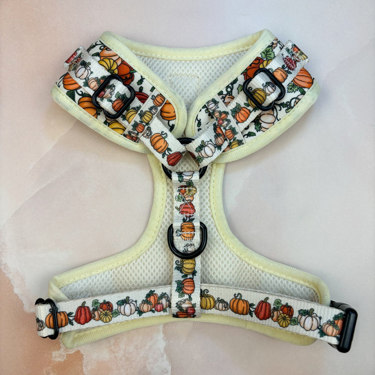 Country Pumpkins Adjustable Harness