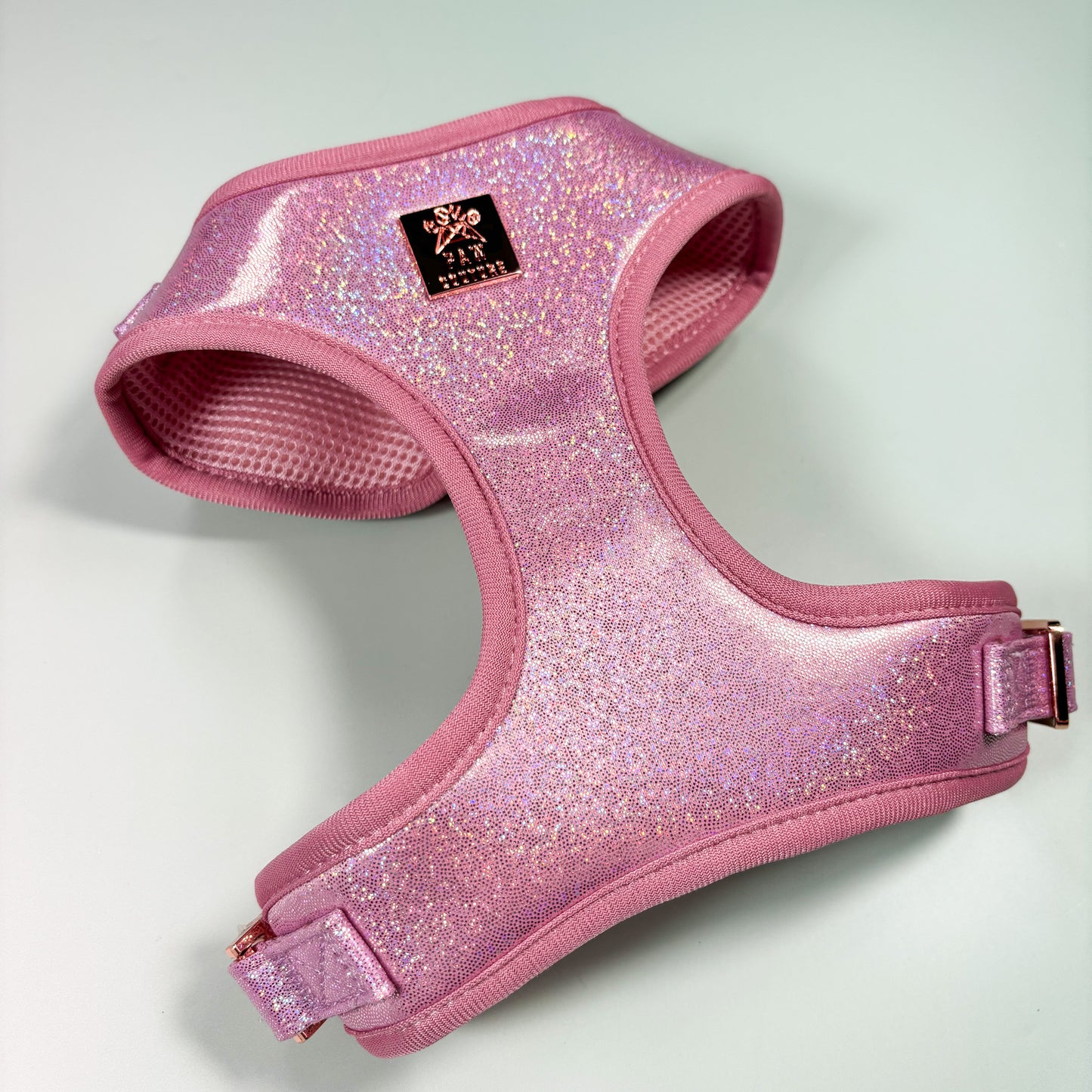 Pink Champagne Party Deluxe Adjustable Harness & Lead Bundle