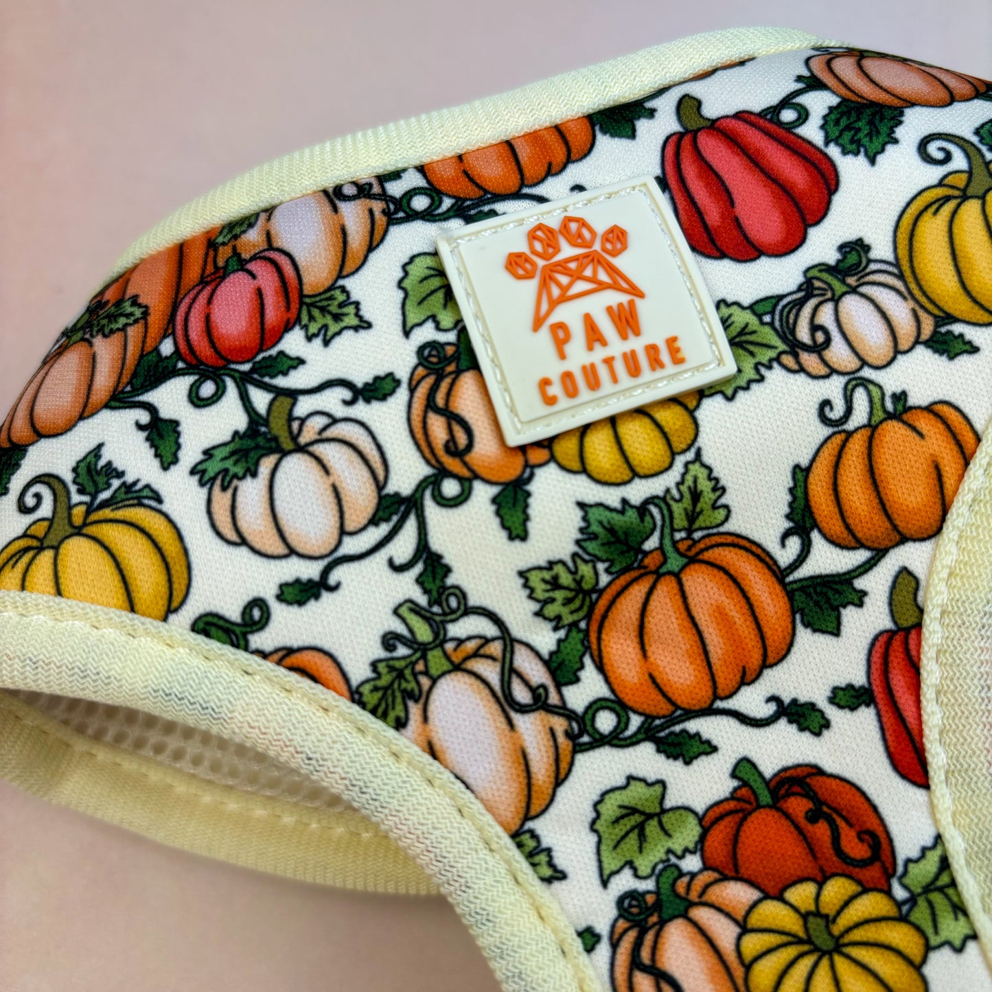 Country Pumpkins Four Piece Walkies Bundle - Save £20