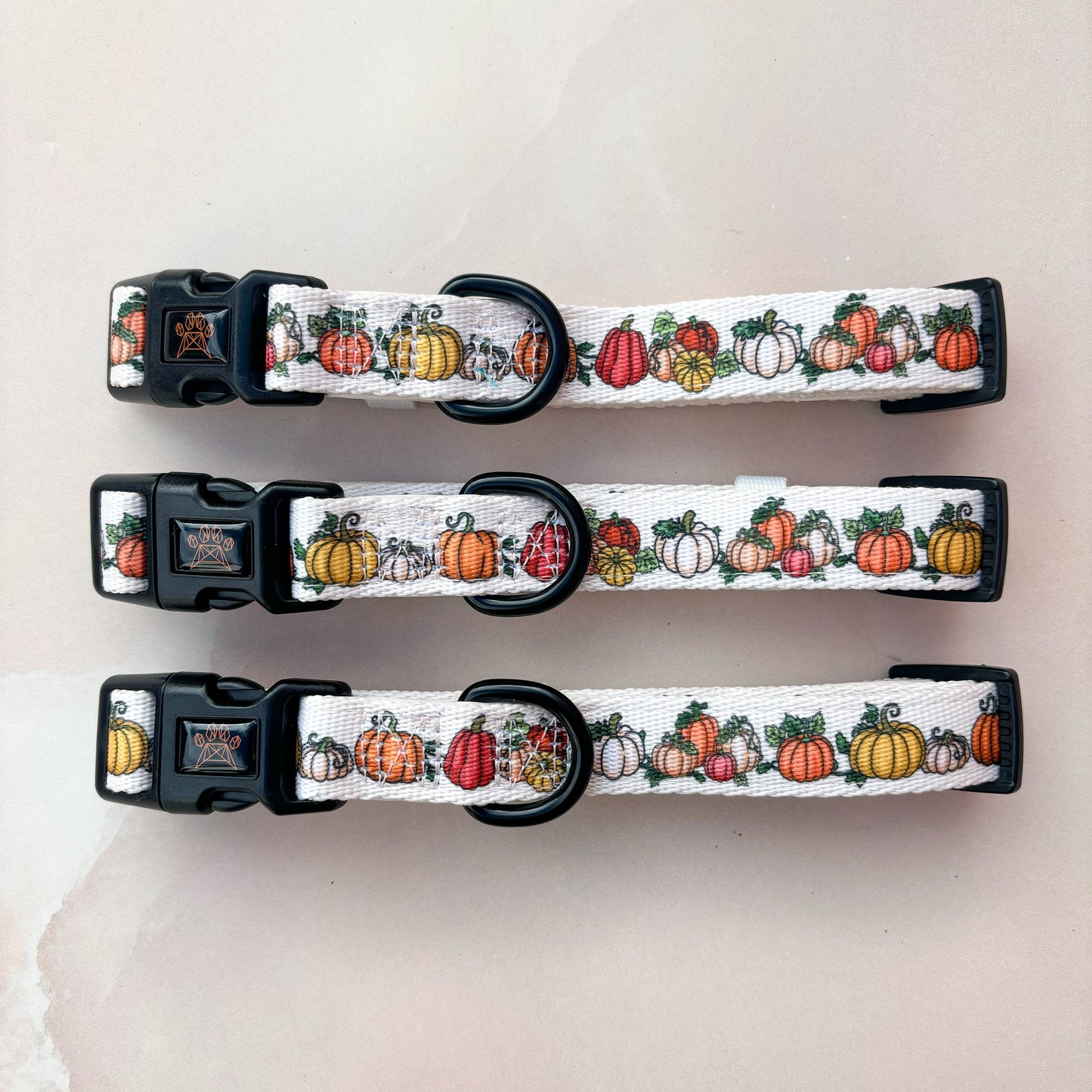 Country Pumpkins Collar