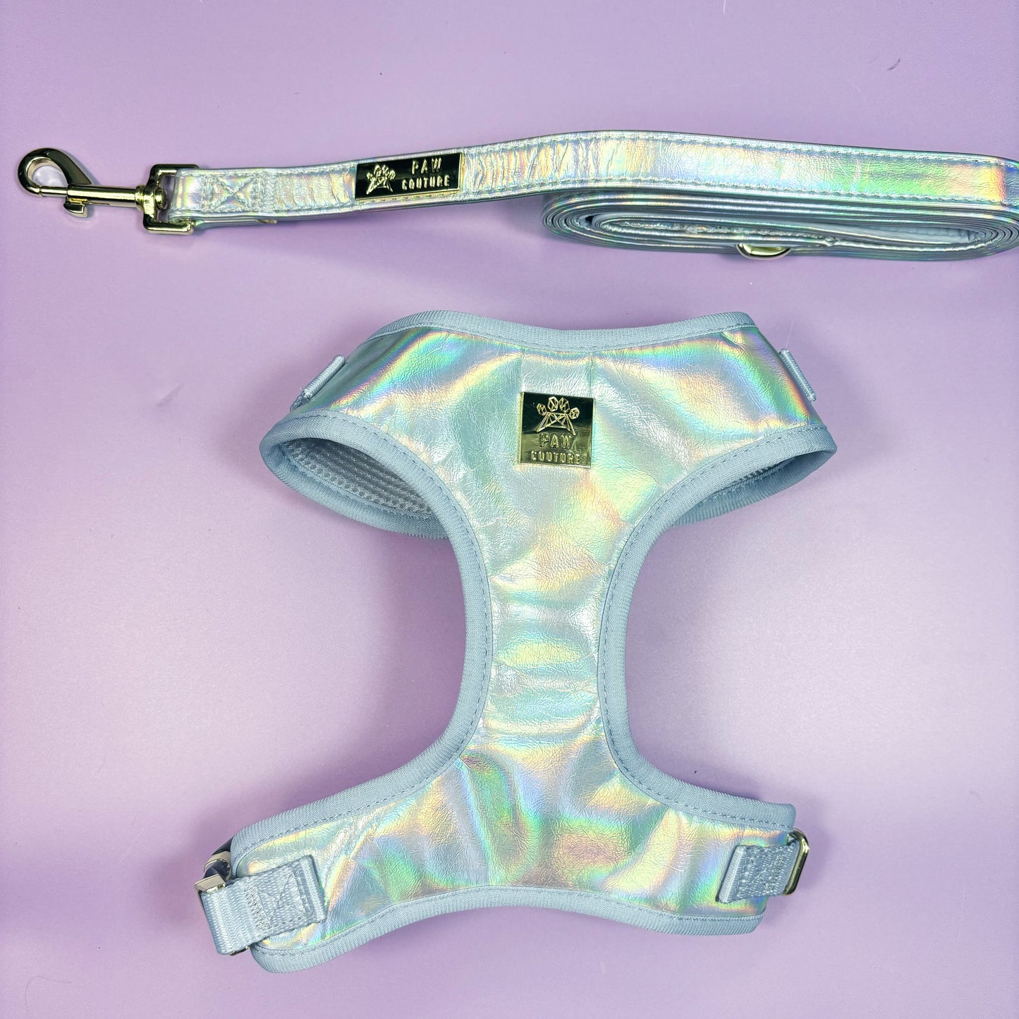 Spectrum Iridescent Leatherette Adjustable Harness & Lead Bundle