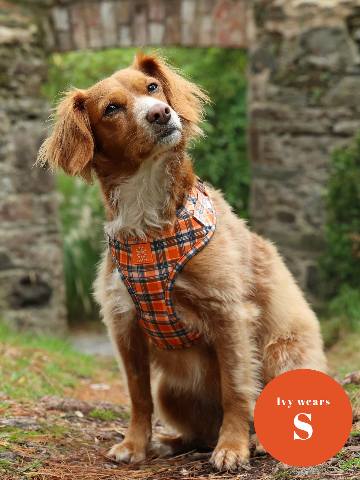 Rustic Plaid Adjustable Harness & Lead Bundle