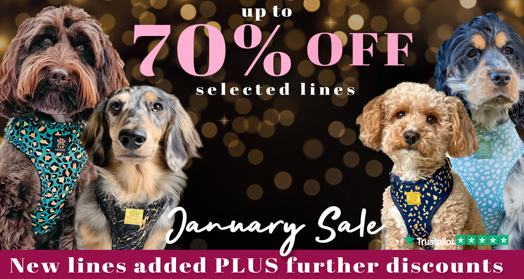 Paw Couture | The Luxury Dog Accessories Store | Dog Harnesses & More!