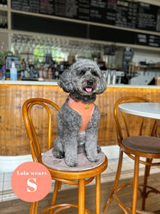 Malibu Sunset Deluxe Vegan Leather Adjustable Harness