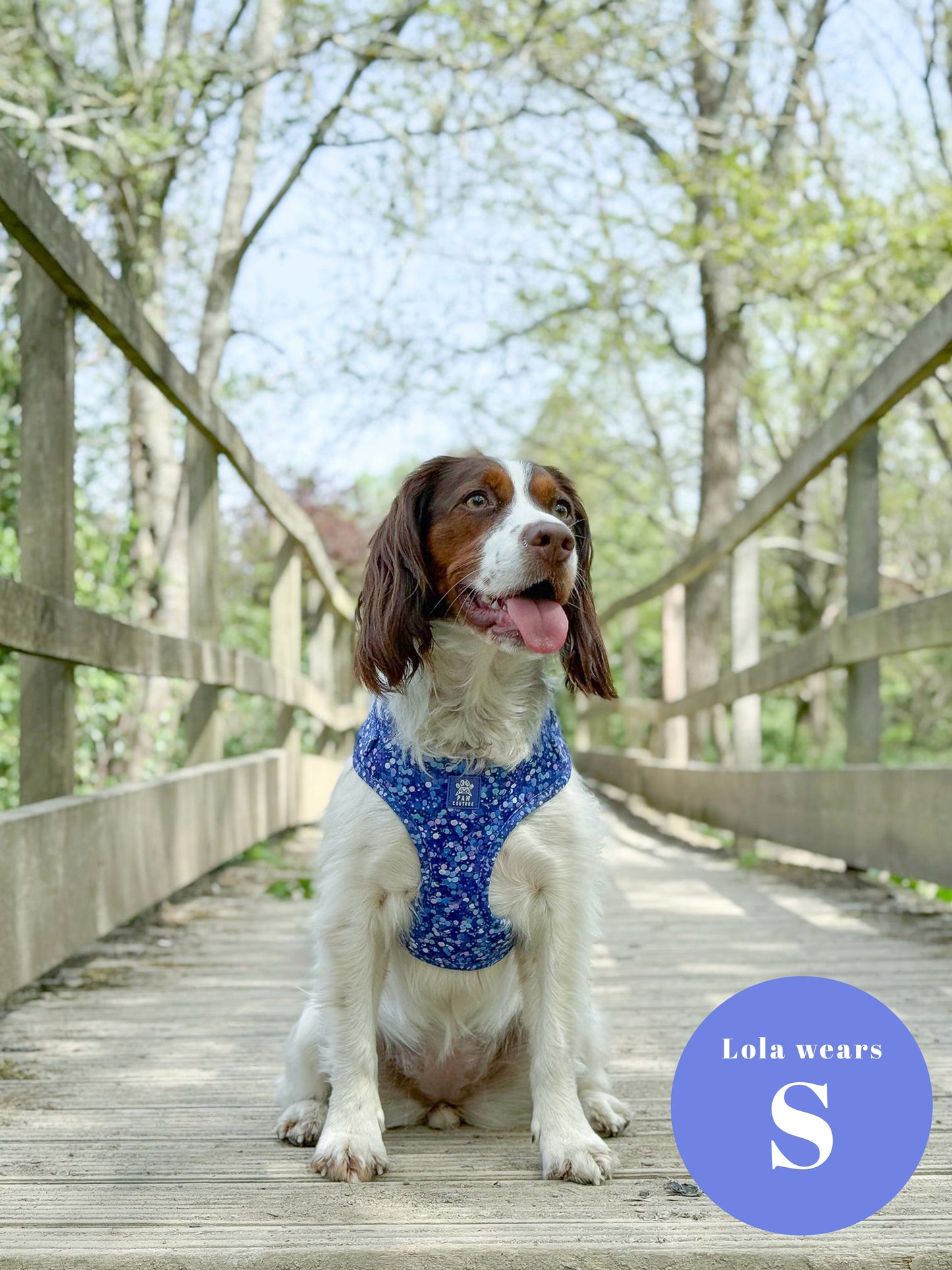 Cosmic Confetti Adjustable Harness