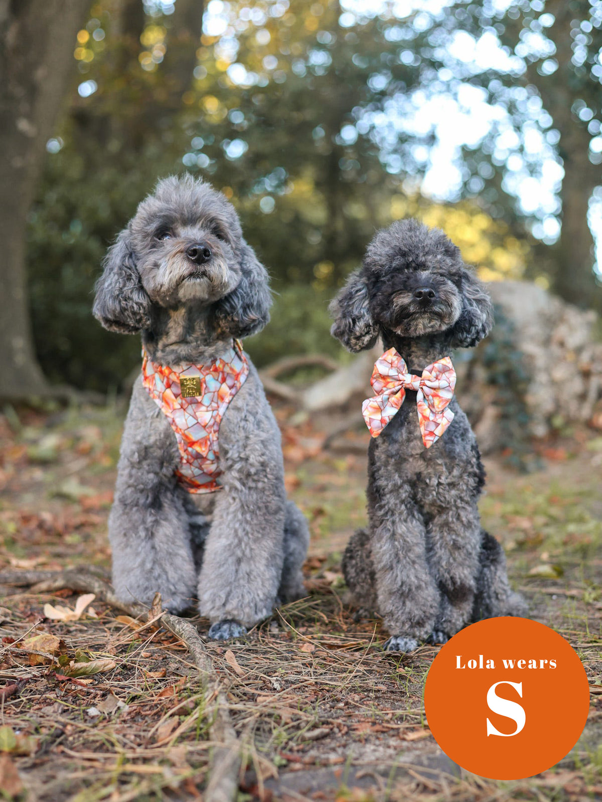 Amber & Opal Deluxe Five Piece Walkies Bundle - Save £20