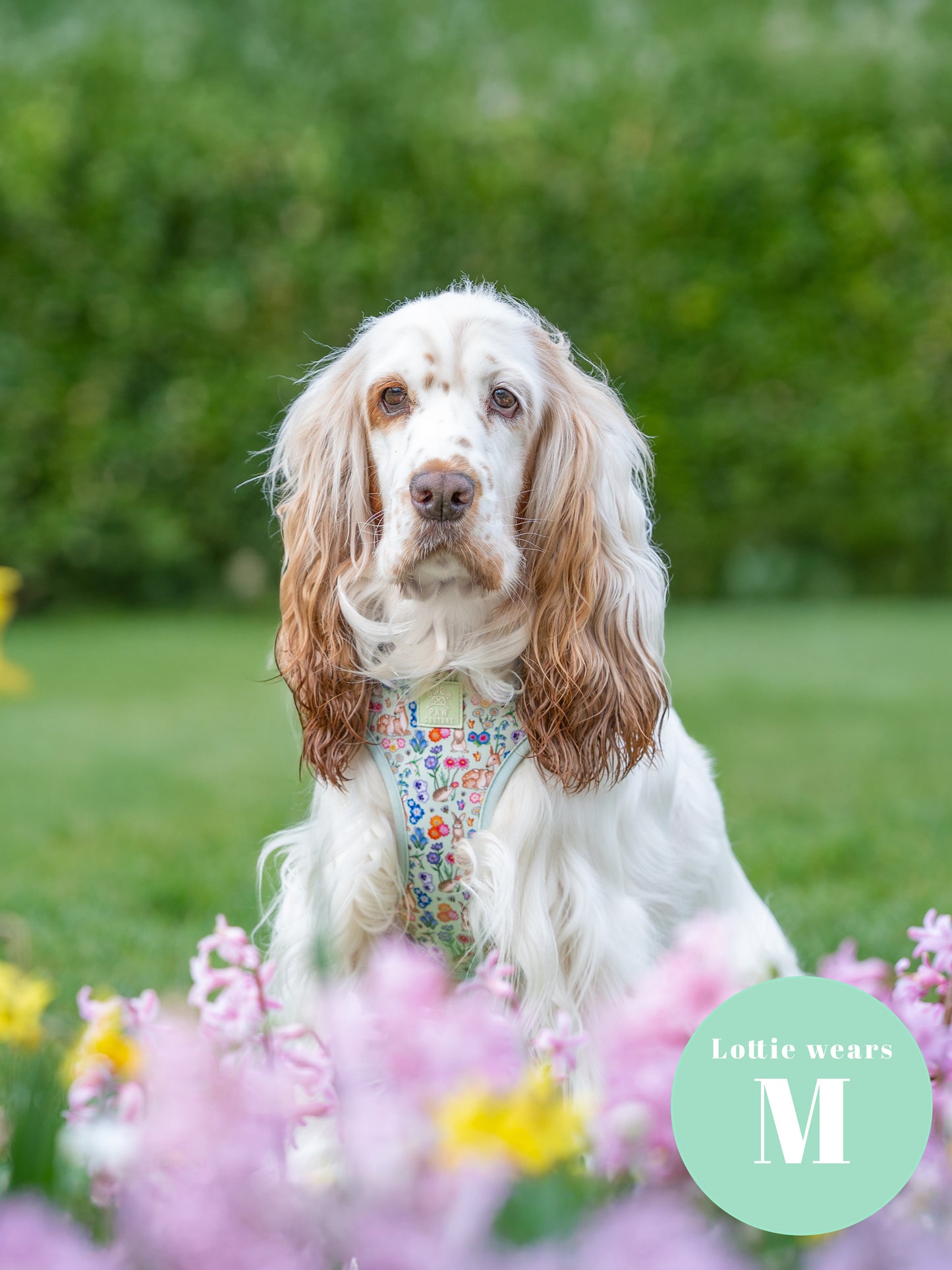 Flora & Fauna Adjustable Harness