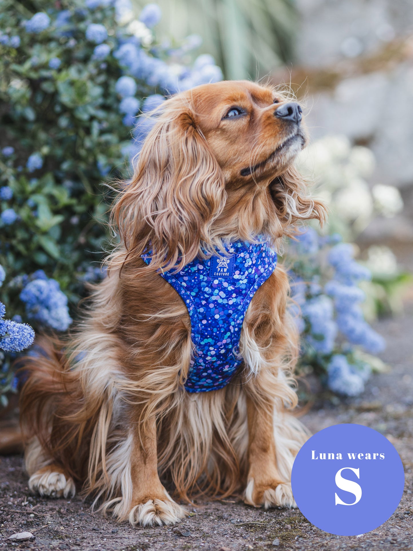 Cosmic Confetti Adjustable Harness