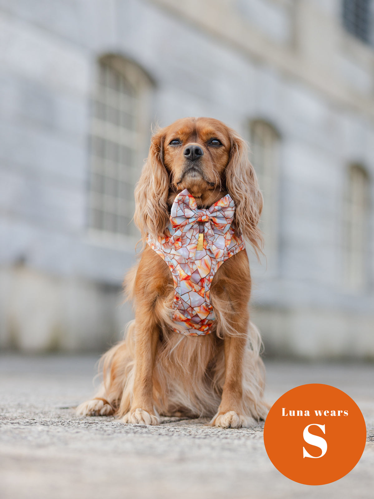 Amber & Opal Deluxe Five Piece Walkies Bundle - Save £20