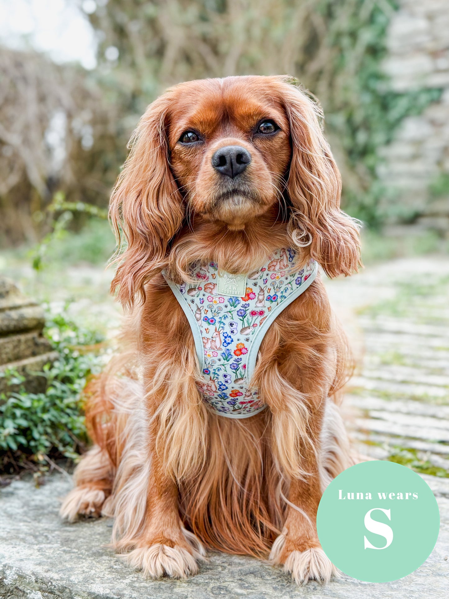 Flora & Fauna Adjustable Harness