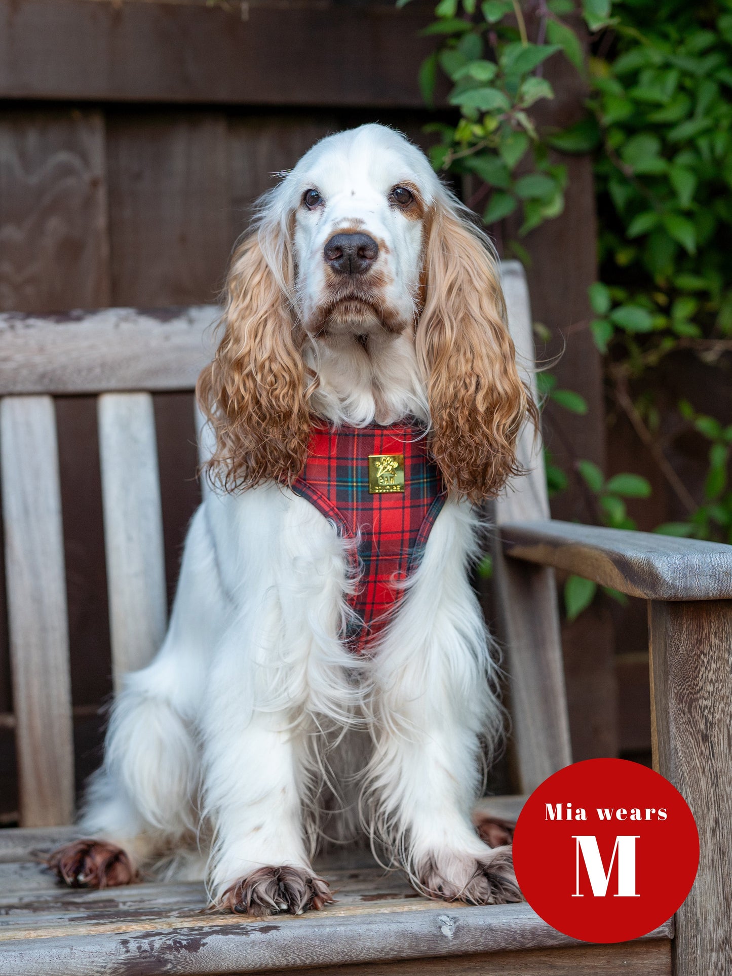 *LESS THAN PERFECT* Tartan Deluxe Adjustable Harness
