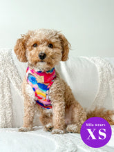 Load image into Gallery viewer, *DESPATCHES W/C 2ND OCT* Rainbow Agate Deluxe Five Piece Walkies Bundle - Save £25
