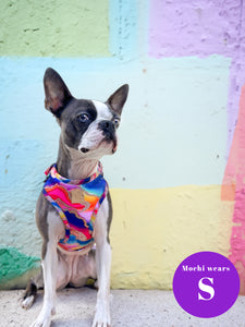 *DESPATCHES W/C 2ND OCT* Rainbow Agate Deluxe Adjustable Harness