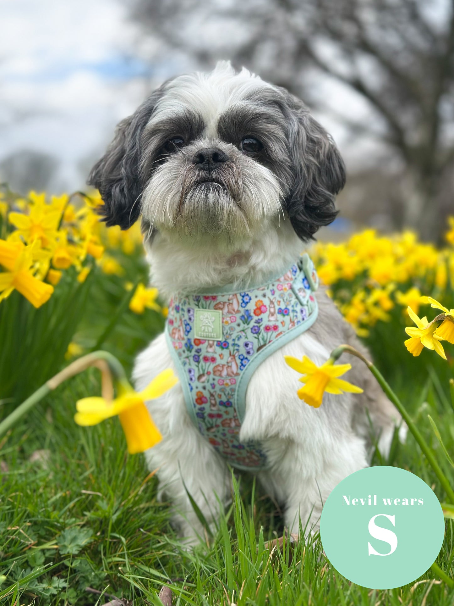 Flora & Fauna Adjustable Harness