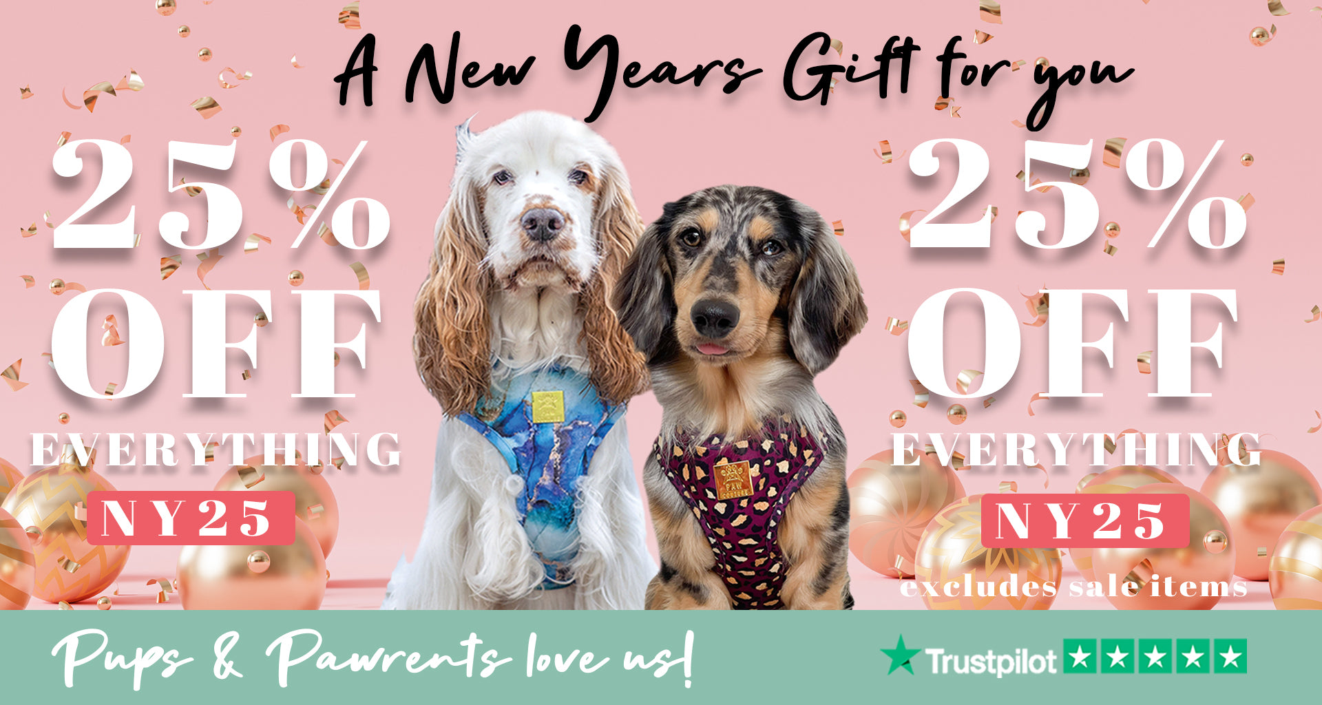 Paw Couture | The Luxury Dog Accessories Store | Dog Harnesses & More!