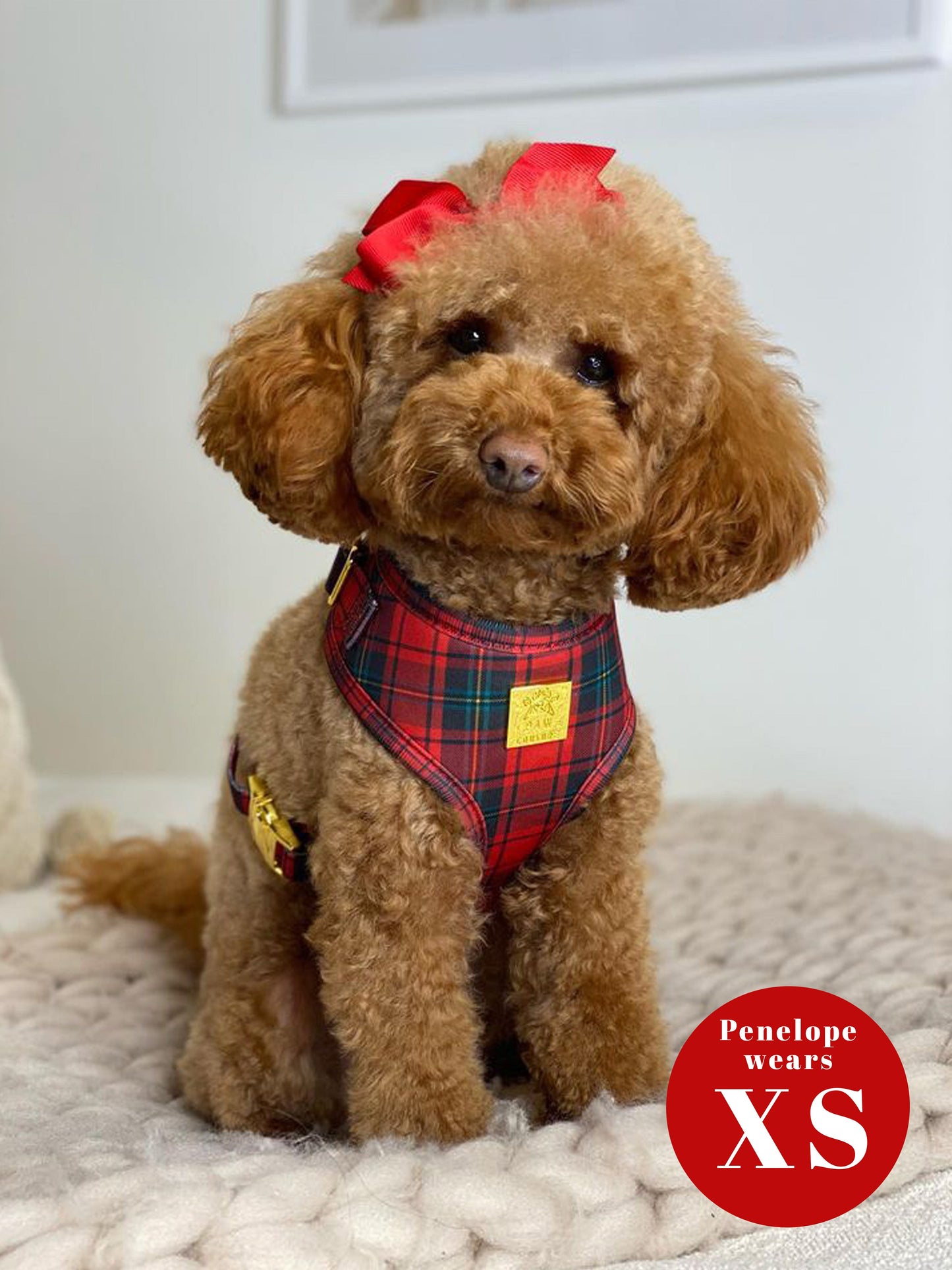 *LESS THAN PERFECT* Tartan Deluxe Adjustable Harness