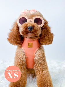 Malibu Sunset Deluxe Vegan Leather Adjustable Harness