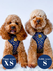 Golden Confetti Deluxe Adjustable Harness