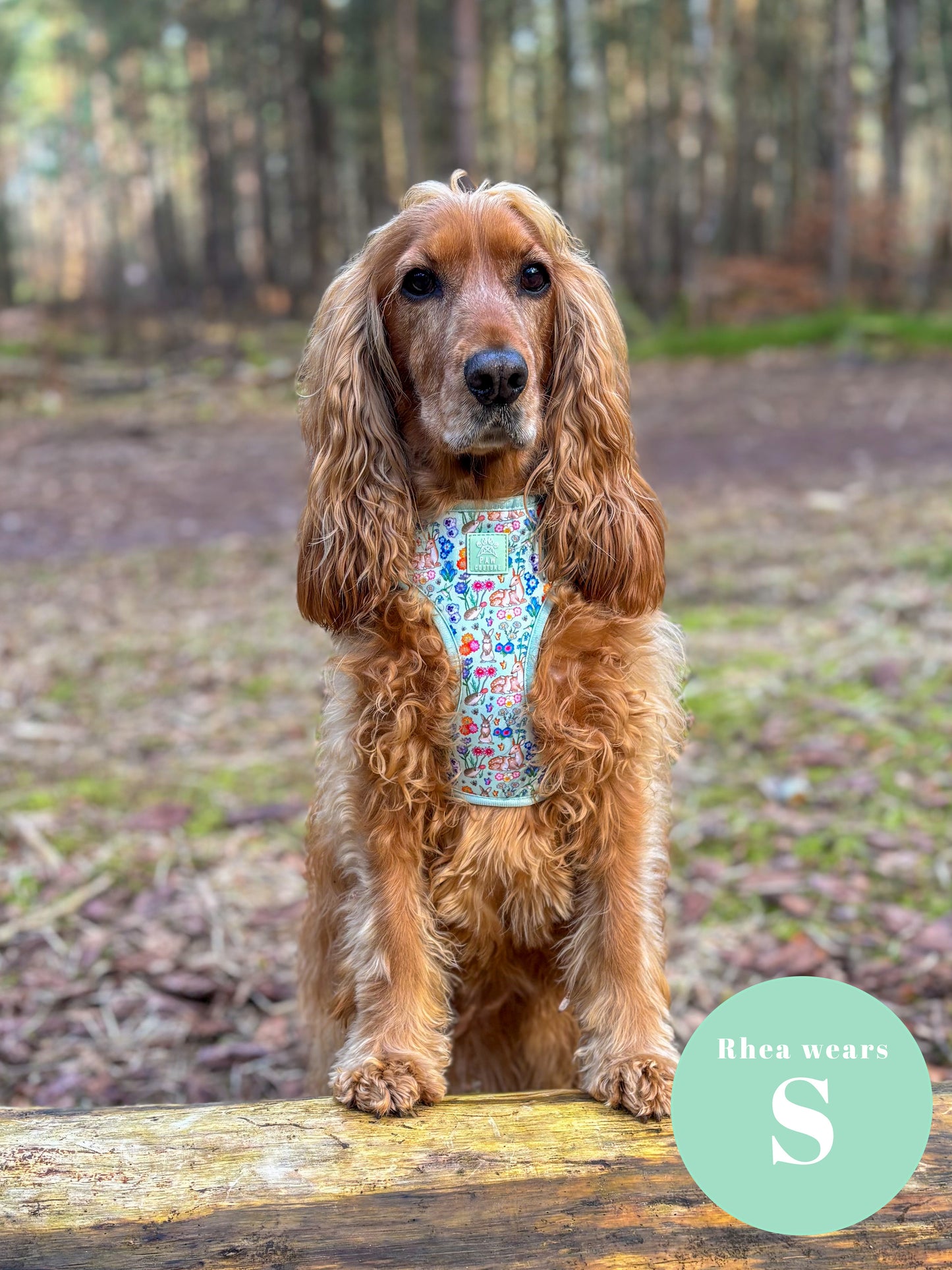 Flora & Fauna Adjustable Harness