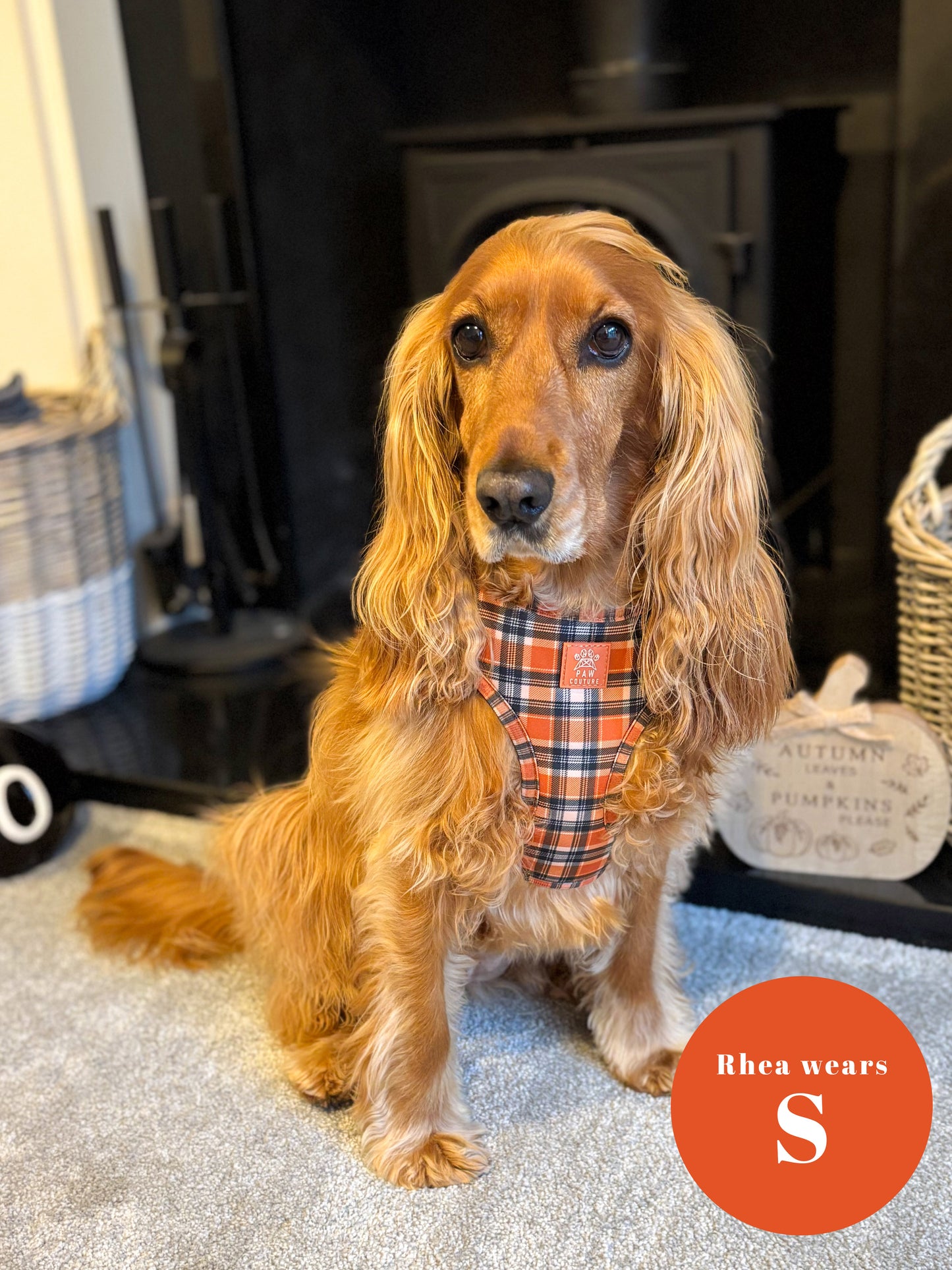 Rustic Plaid Adjustable Harness & Lead Bundle