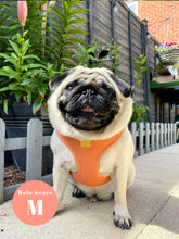 Load image into Gallery viewer, Malibu Sunset Deluxe Vegan Leather Adjustable Harness
