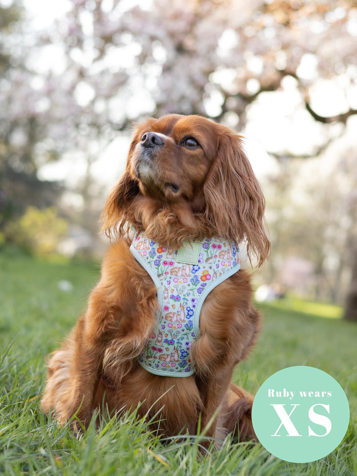 Flora & Fauna Adjustable Harness