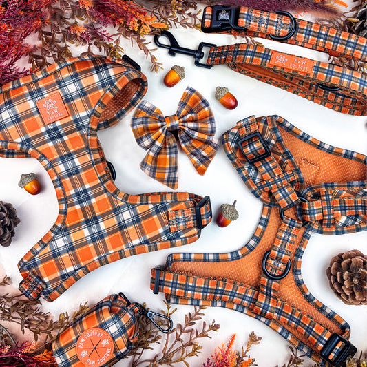 Rustic Plaid Five Piece Walkies Bundle with Sailor Bow - Save £20