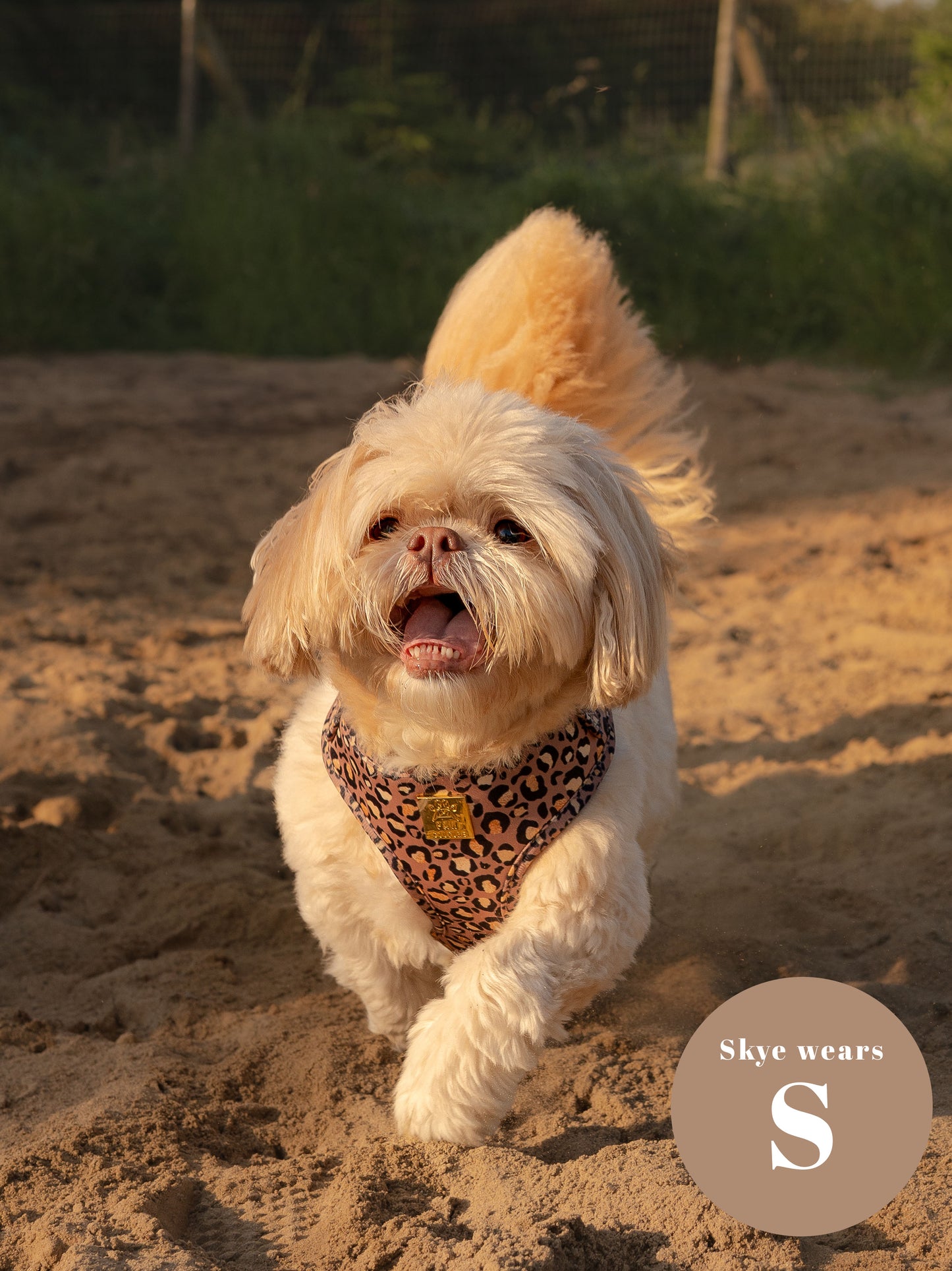 Tan Safari Deluxe Five Piece Walkies Bundle - Save £20