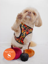 Load image into Gallery viewer, *DESPATCHES W/C 2ND OCT* Changing Seasons Adjustable Harness &amp; Lead Bundle
