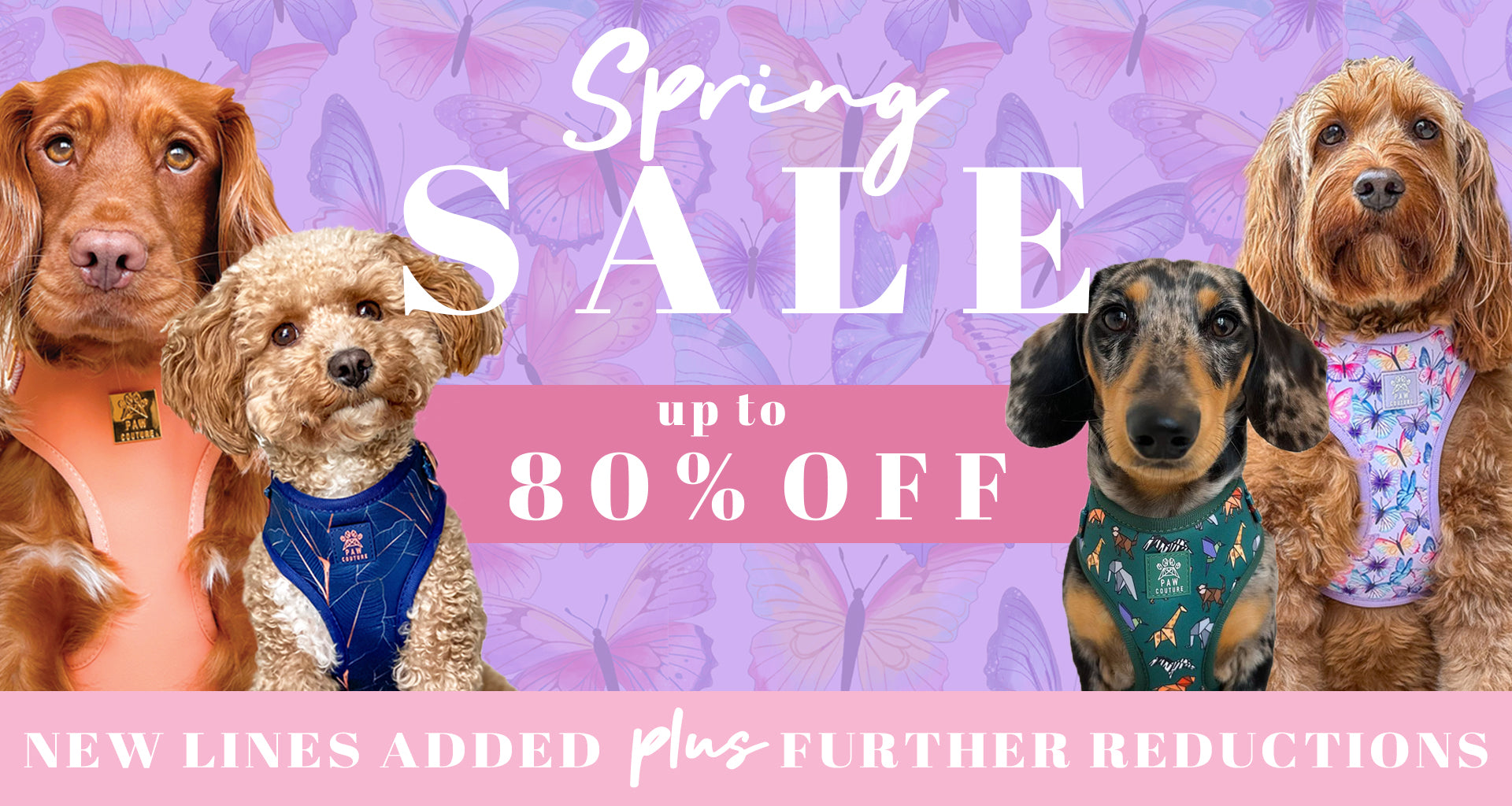 Paw Couture | The Luxury Dog Accessories Store | Dog Harnesses & More!