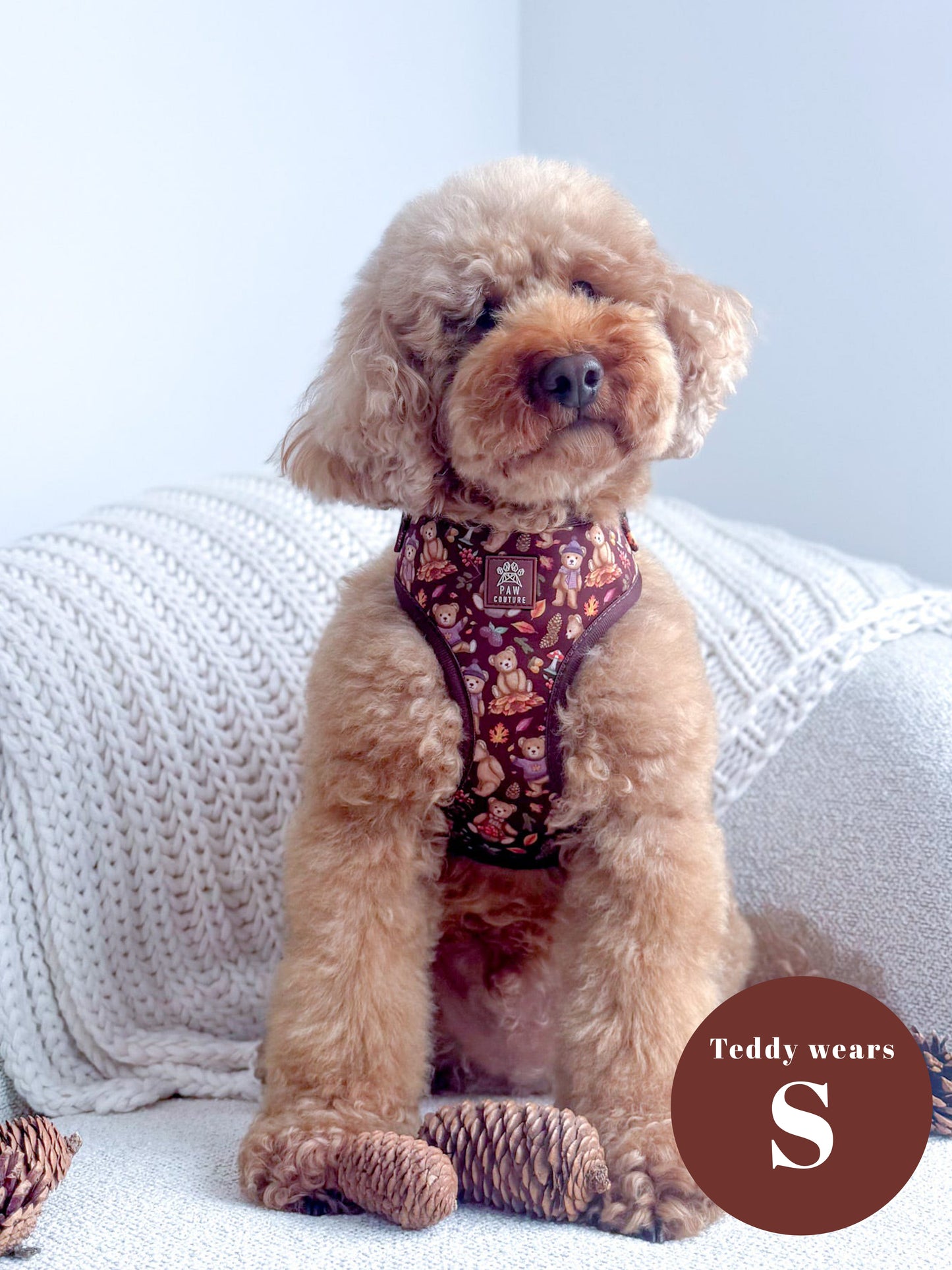 Forest Friends Adjustable Harness & Lead Bundle