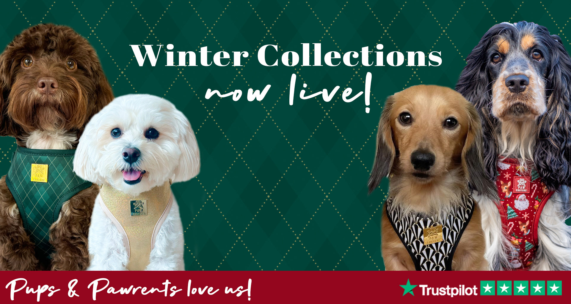 Paw Couture | The Luxury Dog Accessories Store | Dog Harnesses & More!