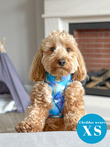 Agate Deluxe Four Piece Walkies Bundle - Save £25