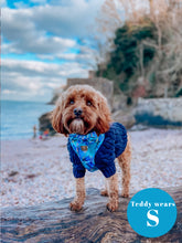 Load image into Gallery viewer, Agate Deluxe Four Piece Walkies Bundle - Save £25
